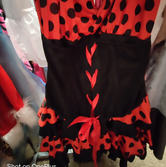 A ladybug Ladies costume - Picture 4 of 12